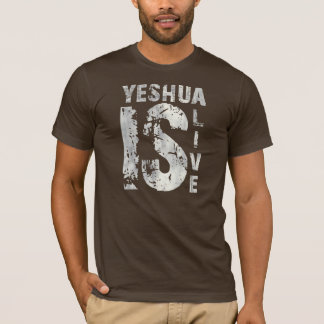 Camiseta Yeshua is alive 43975 Gris