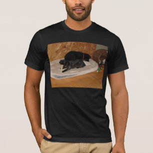 Camiseta Yorkie-Poo adorável