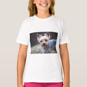 Camiseta Yorkshire terrier, Cachorro, Pet