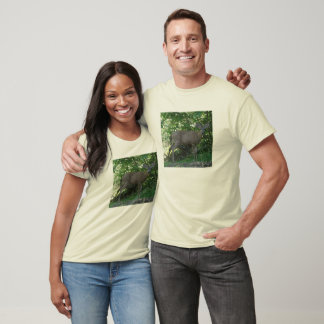 Camiseta Young Buck 01