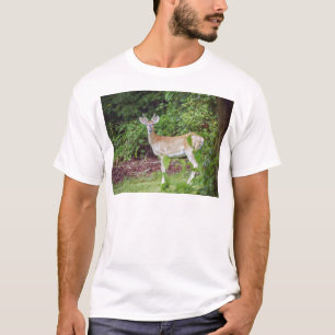 Camiseta Young Buck em Velvet