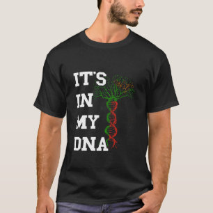 Camiseta Zâmbia Está No Meu DNA Orgulho Zambiano Bandeira Z
