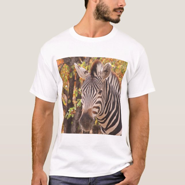 Camiseta Zebra de Burchell com mudança de estação outono fo (Frente)