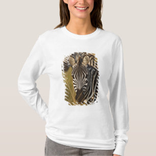 Camiseta Zebra de Burchell na grama alta do verão, Masai