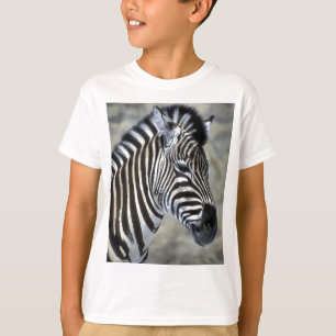 Camiseta Zebras Amam Arte