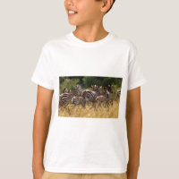 Zebras em Movimento: Uma Viagem de Mil Milhas