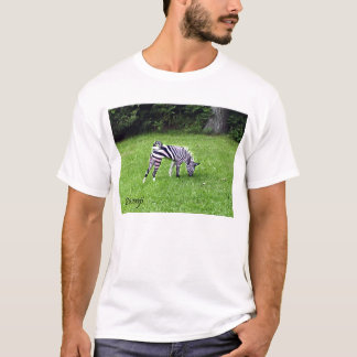Camiseta Zebrasenji