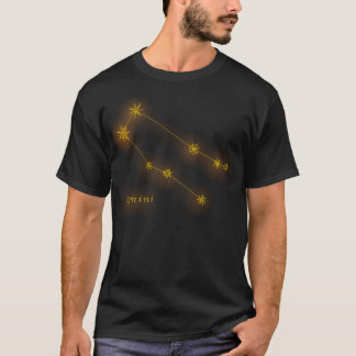 Camiseta Zodíaco - Gêmeos