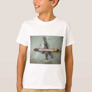 Camiseta Zona de conforto Hakuna Matata Sempre Ama Presente
