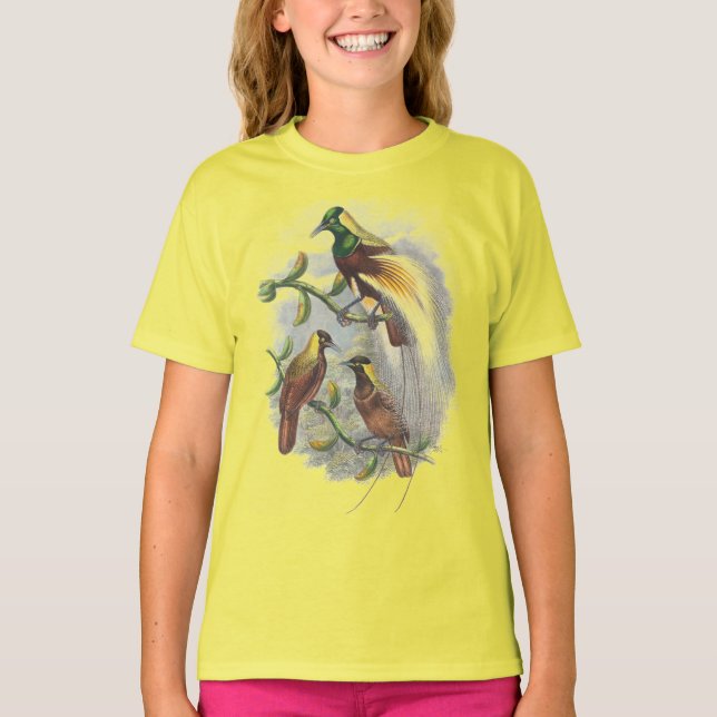 Camisetas de aves bonitas (Frente)