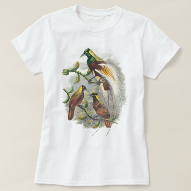 Camisetas de aves de raça branca (Frente do Design)