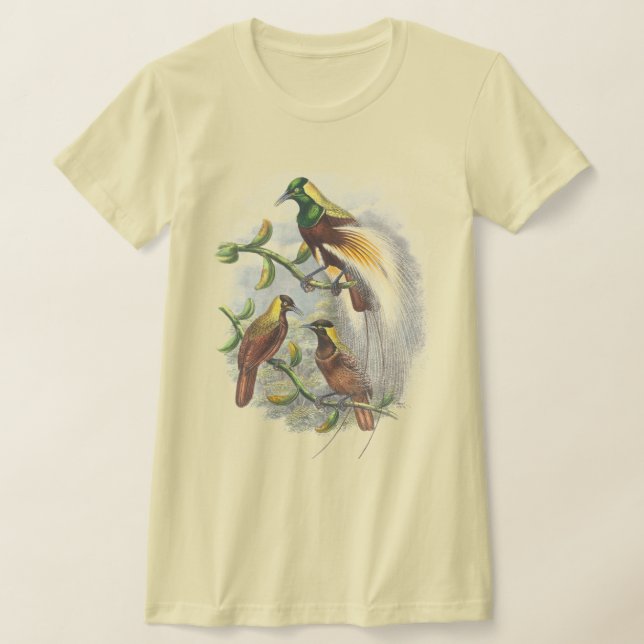 Camisetas de aves de raça branca (Postura )