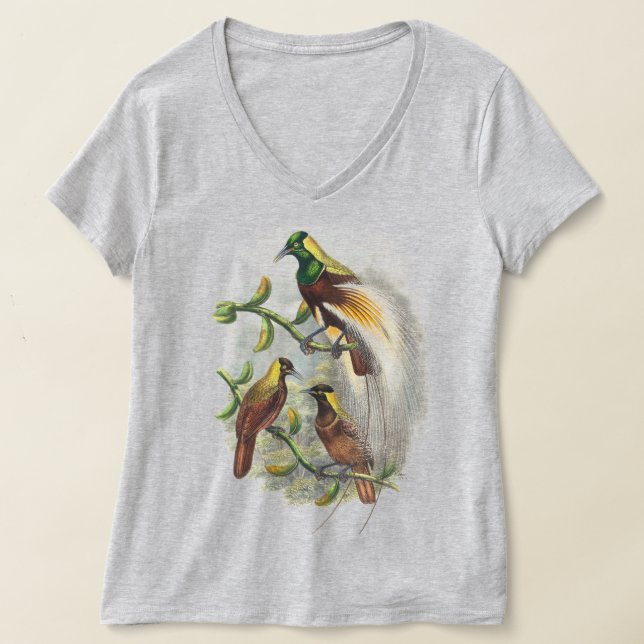 Camisetas de aves de raça branca (Postura )