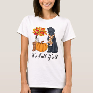 Camisetas De Camisas De Queda Para Mulheres Labrad