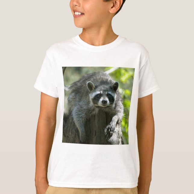 Camisetas de Guaxinim (Frente)