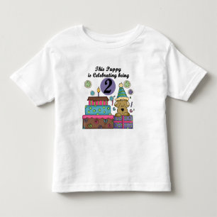 Camisetas e presentes de papoila do segundo aniver