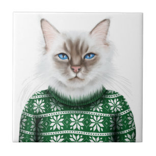 Camisola do gato do gatinho