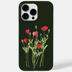 Campanha de verão, flores silvestres