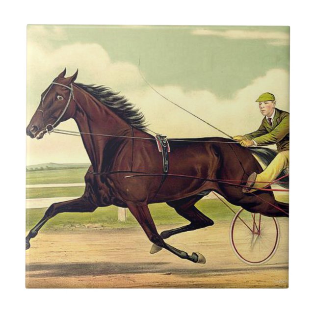 Campeão Sulky SUPERIOR (Frente)