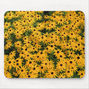 Campo Amarelo de Visitas - Daisy Mousepad