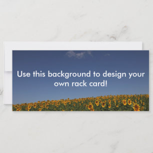 Campo customizável do girassol