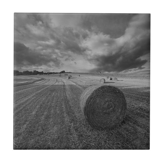 Campo da cevada de B&W (Frente)