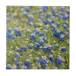 Campo da pintura dos Bluebonnets de Texas