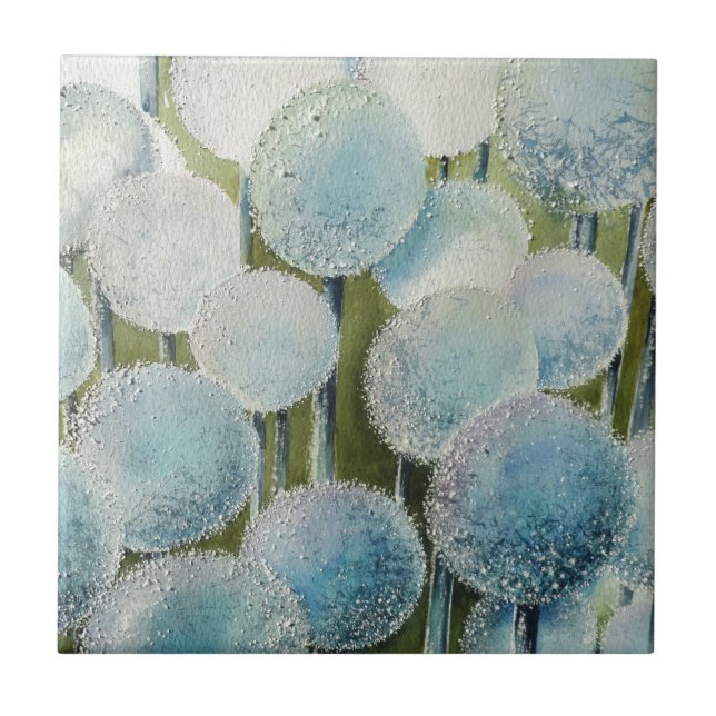 Campo de Aquarela de Desejos (Frente)