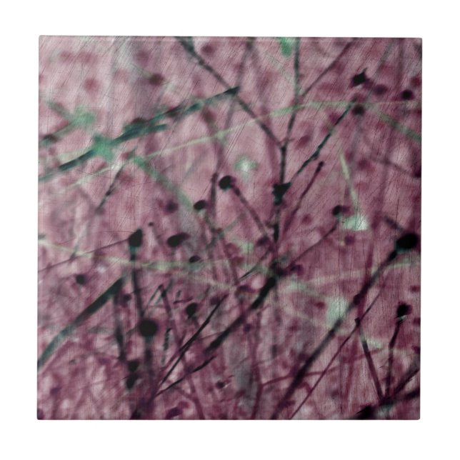 Campo de Berry Rosa (Frente)