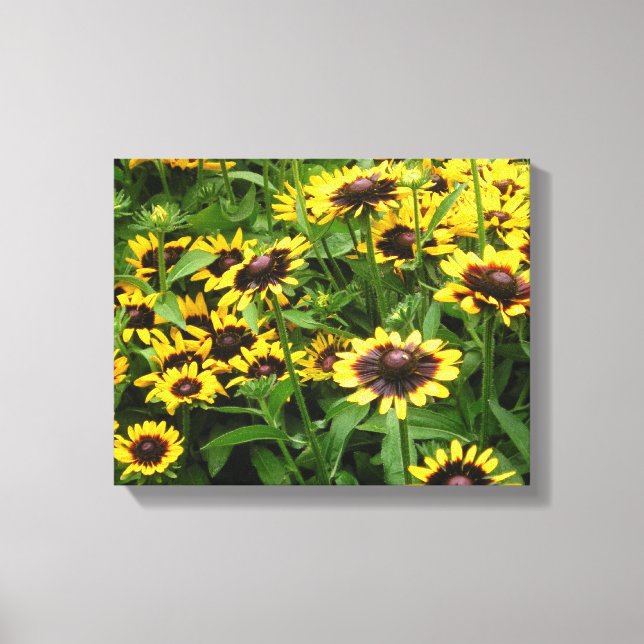 Campo de Canvas de Flores de Olhos de Tigre (Frente)