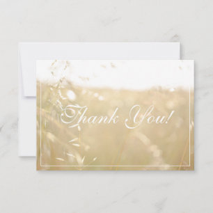 Campo de Cores de Pastel Pálidas Obrigado Cartão P