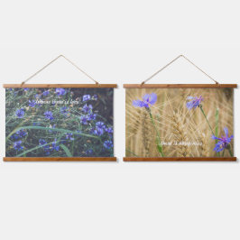 Campo de Cornflower
