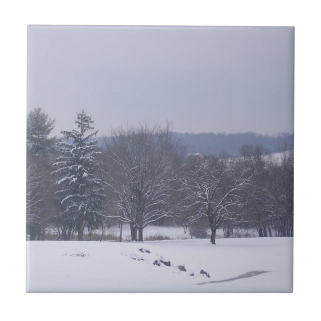 "Campo de Fazenda" (Frente)