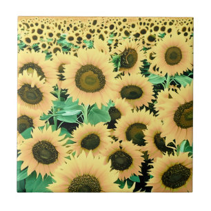 Campo de flores amarelas do Ouro