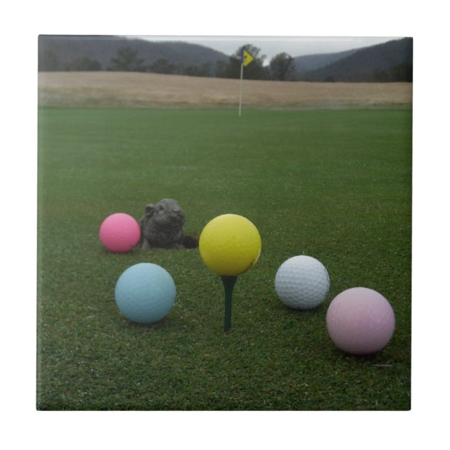 campo de golfe da montanha páscoa (Frente)