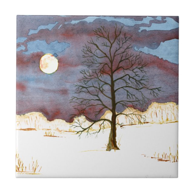 Campo de inverno (Frente)