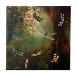 Campo de jogos da libélula