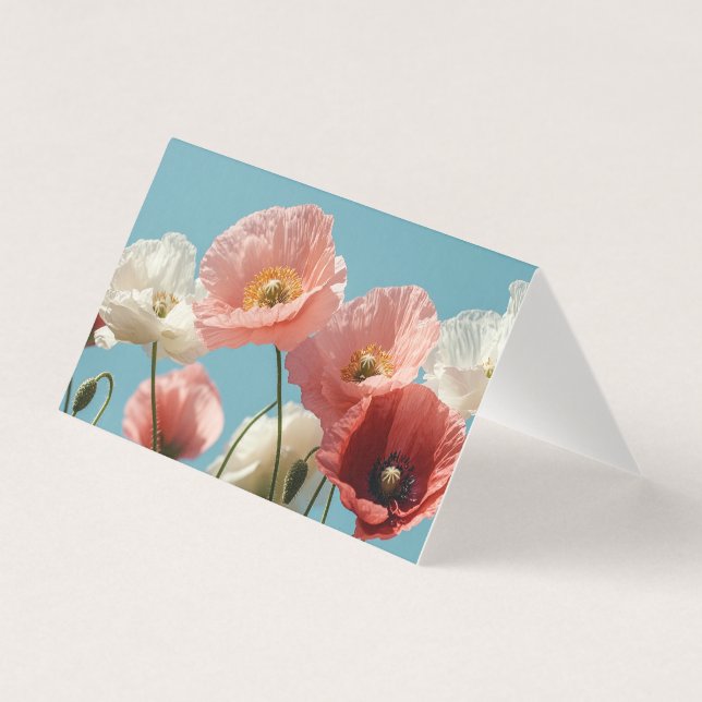 Campo de papa contra céu azul macio (Frente)