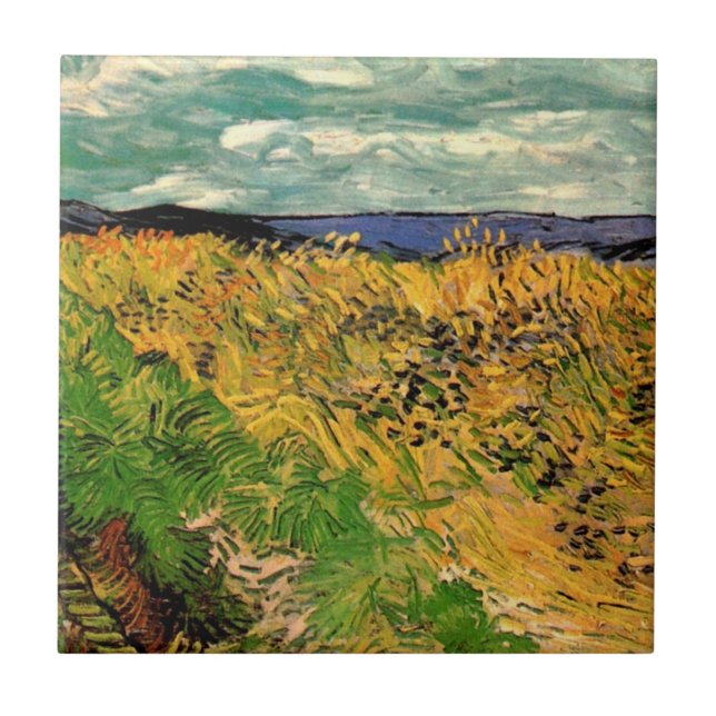 Campo de Trigo com Centáureas de Vincent van Gogh (Frente)