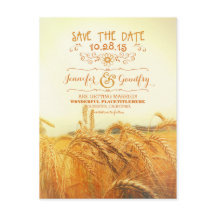 campo de trigo romântico salvar cartões postais de