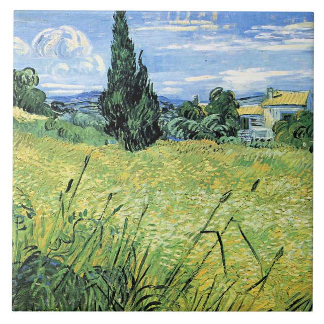 Campo de Trigo Verde com Cipreste, (Frente)