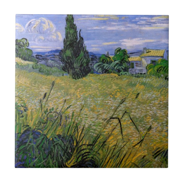 Campo de Trigo Verde com Cipreste por Vincent van  (Frente)