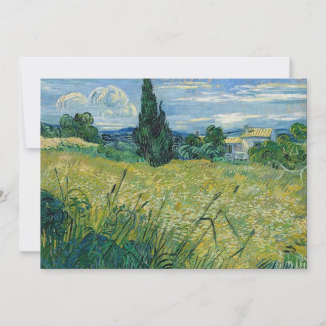 Campo de trigo verde com cisto | Vincent van Gogh (Frente)