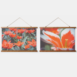 Campo de tulipa vermelha