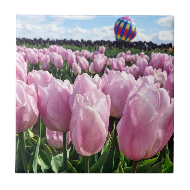 Campo de Tulipas Rosa com Balão de Ar Quente, Oreg (Frente)