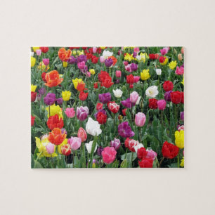 Campo do quebra-cabeça colorido das tulipas