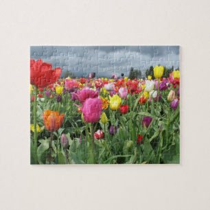Campo do quebra-cabeça das tulipas