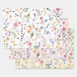 Campo Floral Botânico de Flores Silvestres Bonito