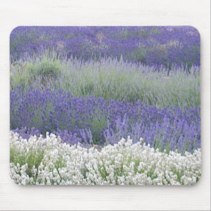 Campo Mousepad da lavanda