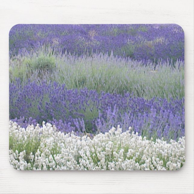Campo Mousepad da lavanda (Frente)